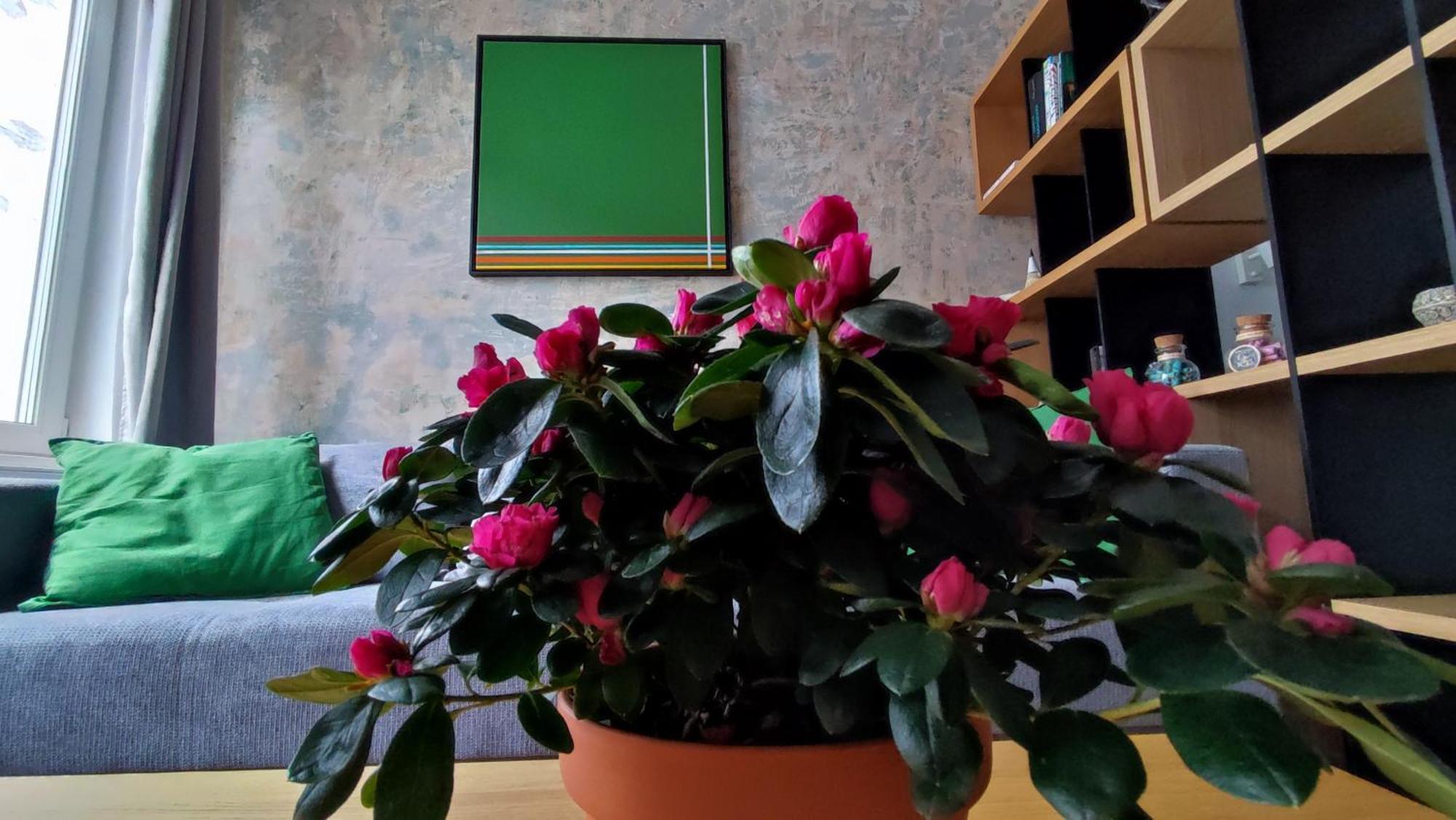 Isac 15 Central Apartment Cluj-Napoca Ngoại thất bức ảnh